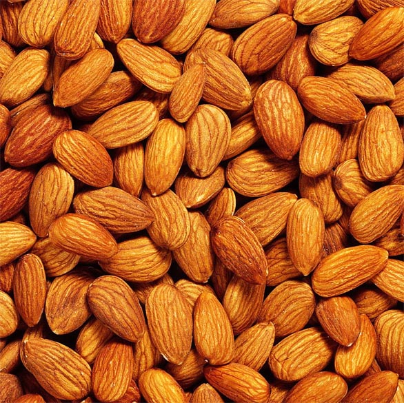 Almond Kernels factory